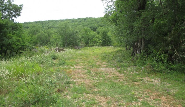 Propriété de chasse Propriété de Chasse à vendre