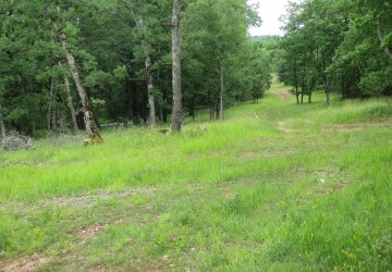 Propriété de chasse Propriété de Chasse à vendre