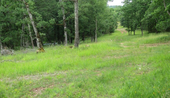 Propriété de chasse Propriété de Chasse à vendre