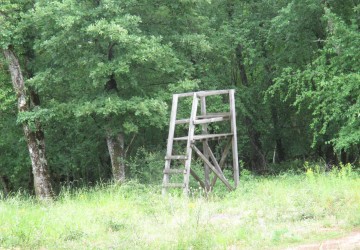 Propriété de chasse Propriété de Chasse à vendre