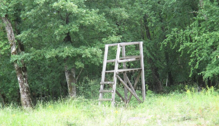 Propriété de chasse Propriété de Chasse à vendre