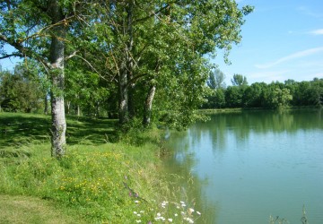 Propriété de chasse Propriété de Chasse à vendre