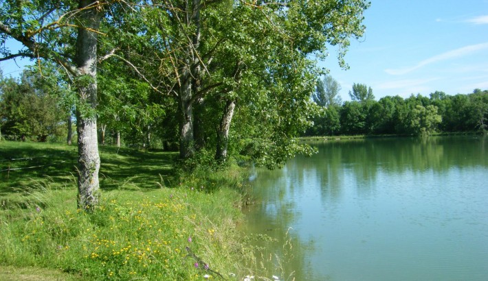 Propriété de chasse Propriété de Chasse à vendre