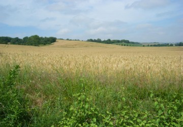 Propriété de chasse Propriété de Chasse à vendre
