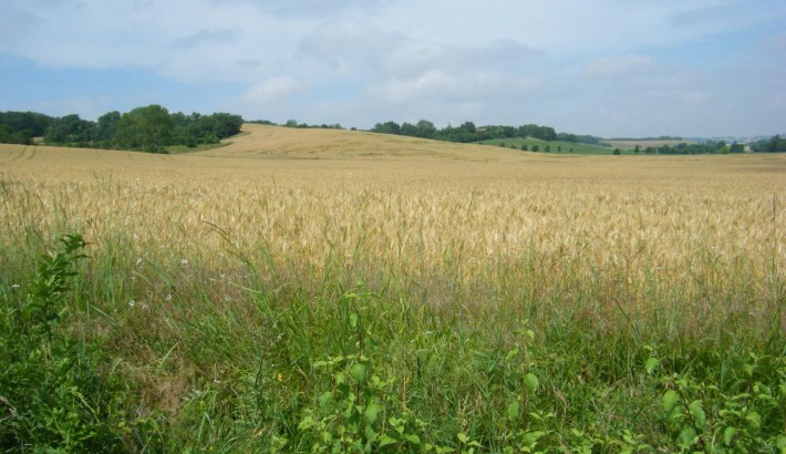 Propriété de chasse Propriété de Chasse à vendre