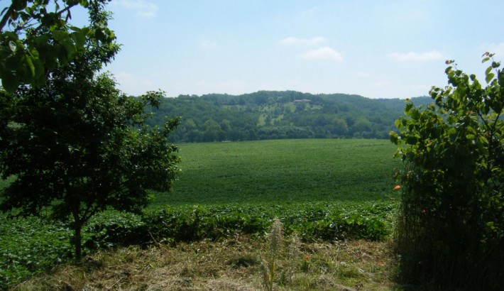 Propriété de chasse Propriété de Chasse à vendre