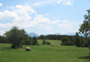 Propriété de chasse Propriété de Chasse à vendre