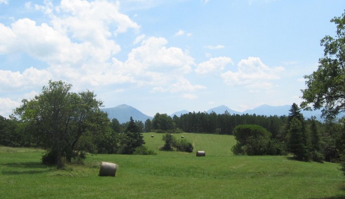 Propriété de chasse Propriété de Chasse à vendre