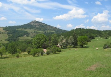 Propriété de chasse Propriété de Chasse à vendre