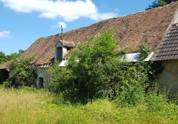 Propriété de chasse Territoire de chasse à vendre