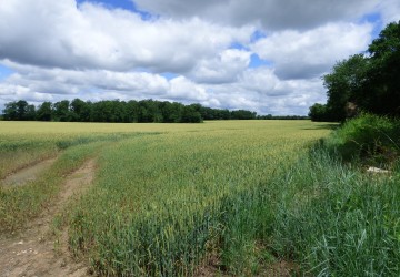 Territoire de chasse à vendre