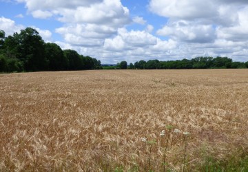 Propriété de chasse Territoire de chasse à vendre