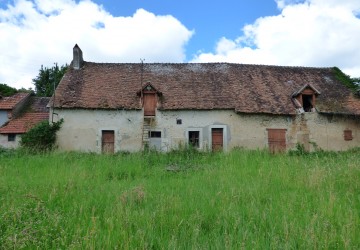 Propriété de chasse Territoire de chasse à vendre