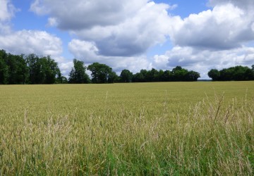 Propriété de chasse Territoire de chasse à vendre
