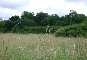 Propriété de chasse Territoire de chasse à vendre