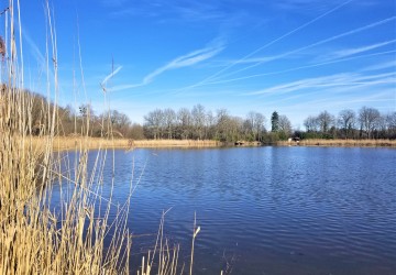 Propriété de chasse Magnifique étang à vendre en Sologne des Etangs