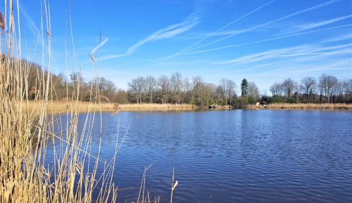 Propriété de chasse Magnifique étang à vendre en Sologne des Etangs