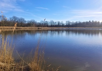 Propriété de chasse Magnifique étang à vendre en Sologne des Etangs