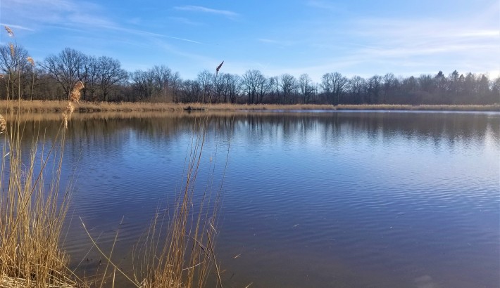 Propriété de chasse Magnifique étang à vendre en Sologne des Etangs