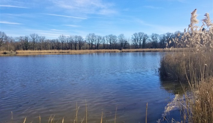 Propriété de chasse Magnifique étang à vendre en Sologne des Etangs