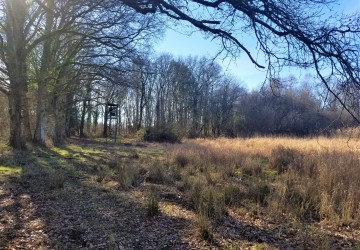 Propriété de chasse Magnifique étang à vendre en Sologne des Etangs