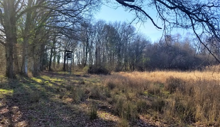 Propriété de chasse Magnifique étang à vendre en Sologne des Etangs