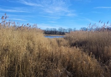 Propriété de chasse Magnifique étang à vendre en Sologne des Etangs