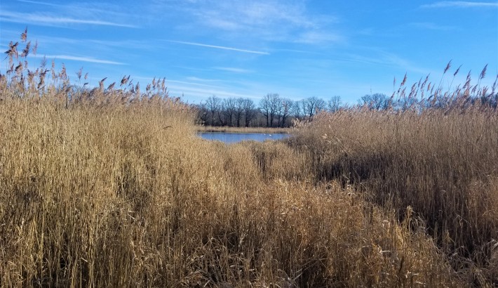 Propriété de chasse Magnifique étang à vendre en Sologne des Etangs
