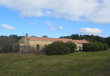 Propriété de chasse Propriété de chasse à vendre