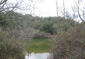 Propriété de chasse Propriété de chasse à vendre