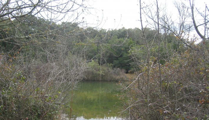 Propriété de chasse Propriété de chasse à vendre