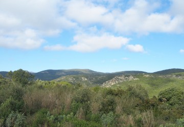 Propriété de chasse Propriété de chasse à vendre