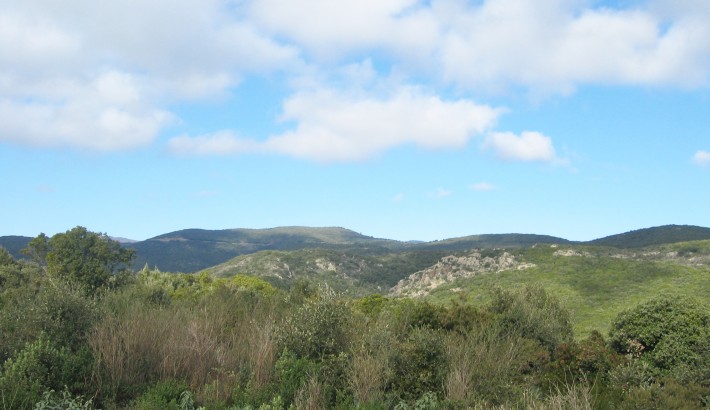 Propriété de chasse Propriété de chasse à vendre