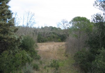 Propriété de chasse Propriété de chasse à vendre