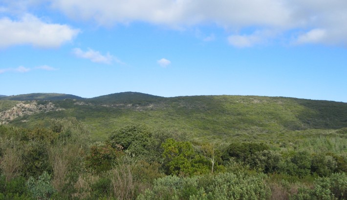 Propriété de chasse Propriété de chasse à vendre