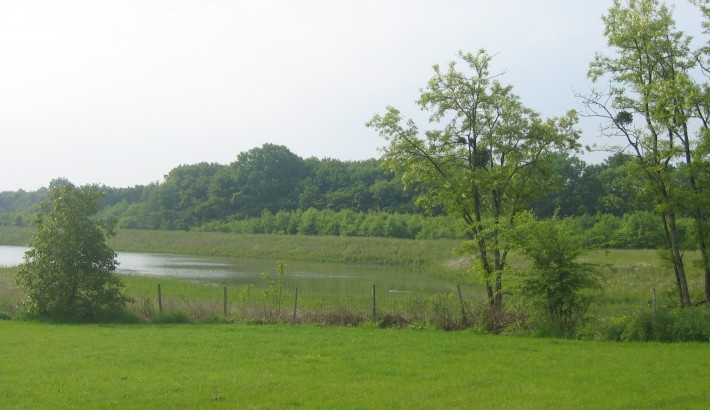 Propriété de chasse Propriété de Chasse à vendre