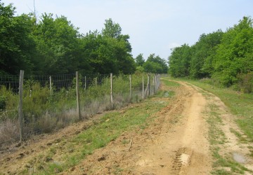 Propriété de chasse Propriété de Chasse à vendre