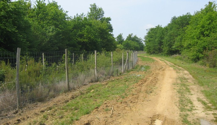 Propriété de chasse Propriété de Chasse à vendre