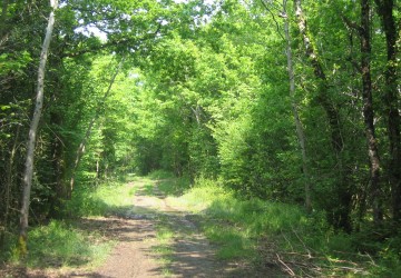 Propriété de chasse Propriété de Chasse à vendre