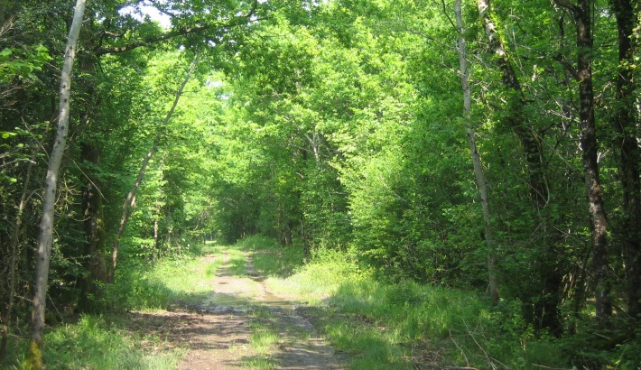 Propriété de chasse Propriété de Chasse à vendre