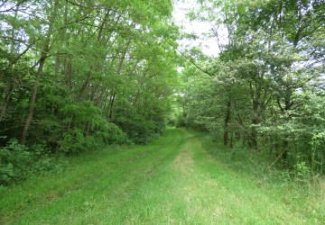 Propriété de chasse Territoire de chasse à vendre