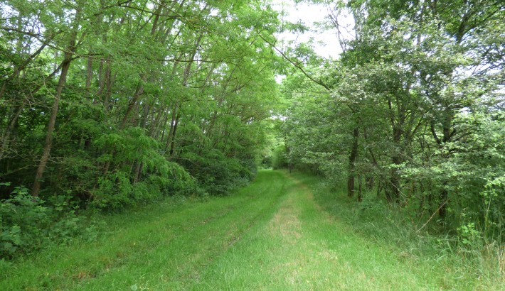 Propriété de chasse Territoire de chasse à vendre