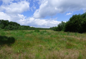 Propriété de chasse Territoire de chasse à vendre