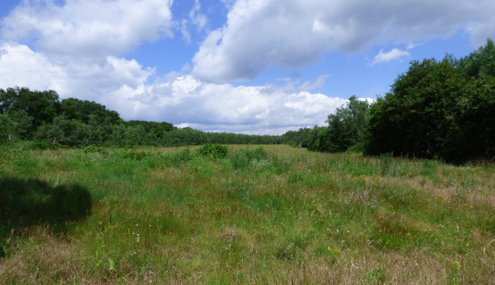 Propriété de chasse Territoire de chasse à vendre