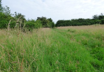 Propriété de chasse Territoire de chasse à vendre