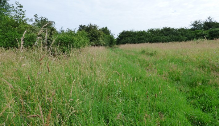 Propriété de chasse Territoire de chasse à vendre