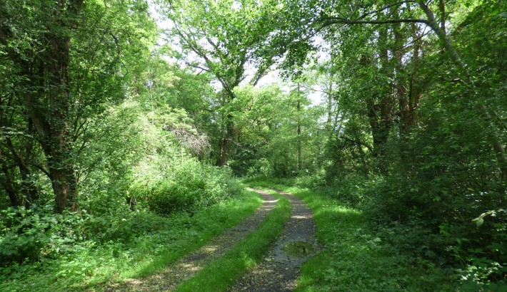 Propriété de chasse Territoire de chasse à vendre