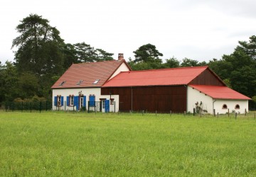 Propriété de chasse Propriété de Chasse à vendre