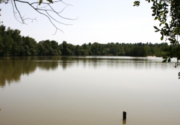 Propriété de Chasse à vendre