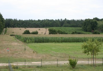 Propriété de chasse Propriété de Chasse à vendre